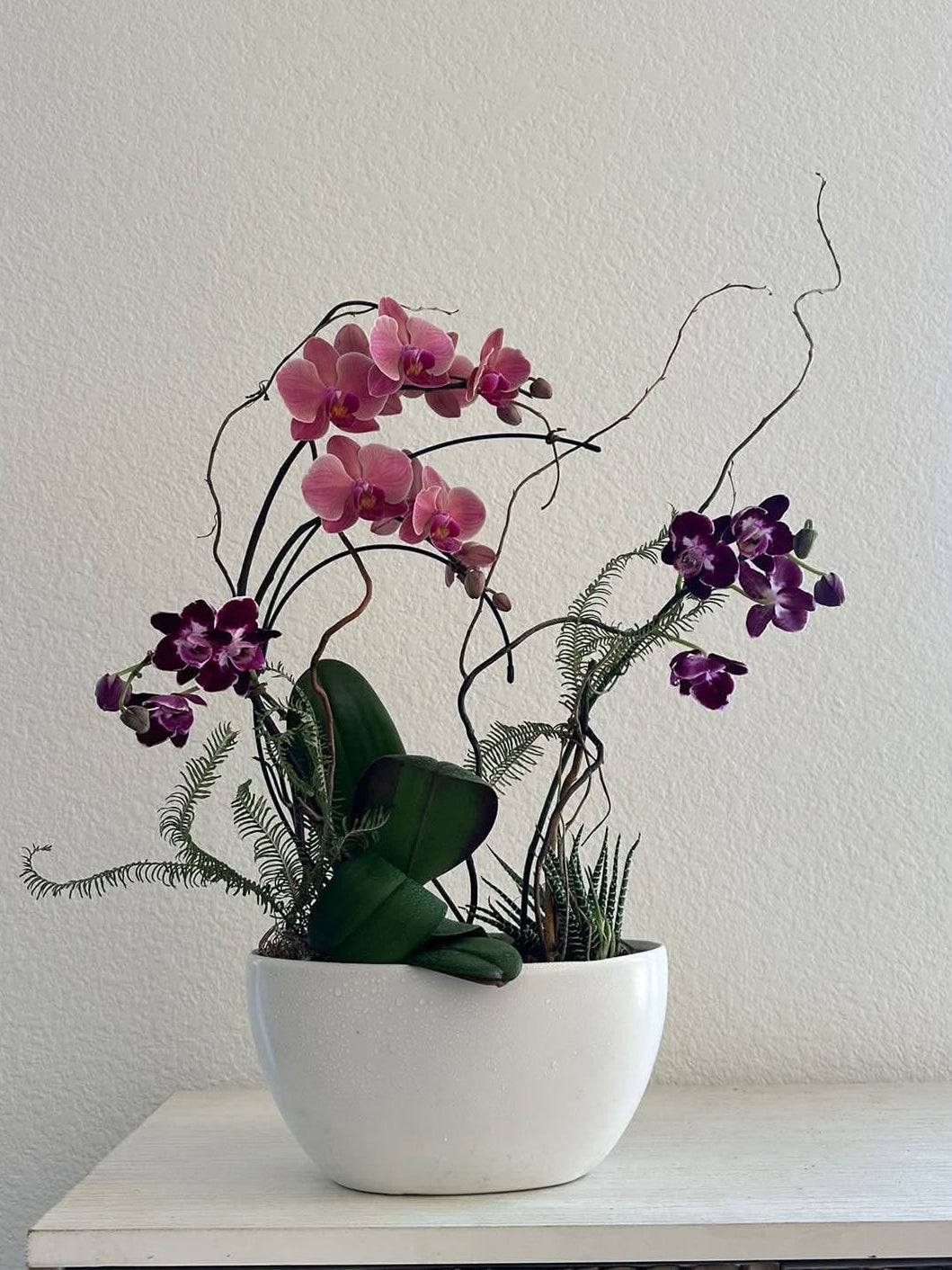 Real Flowers Every Day in Blackhawk 2/19/27