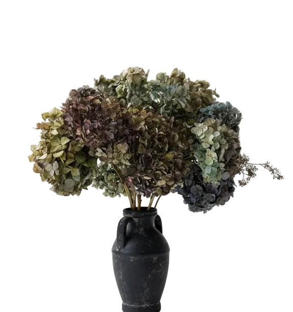 Dried and Preserved Arrangements