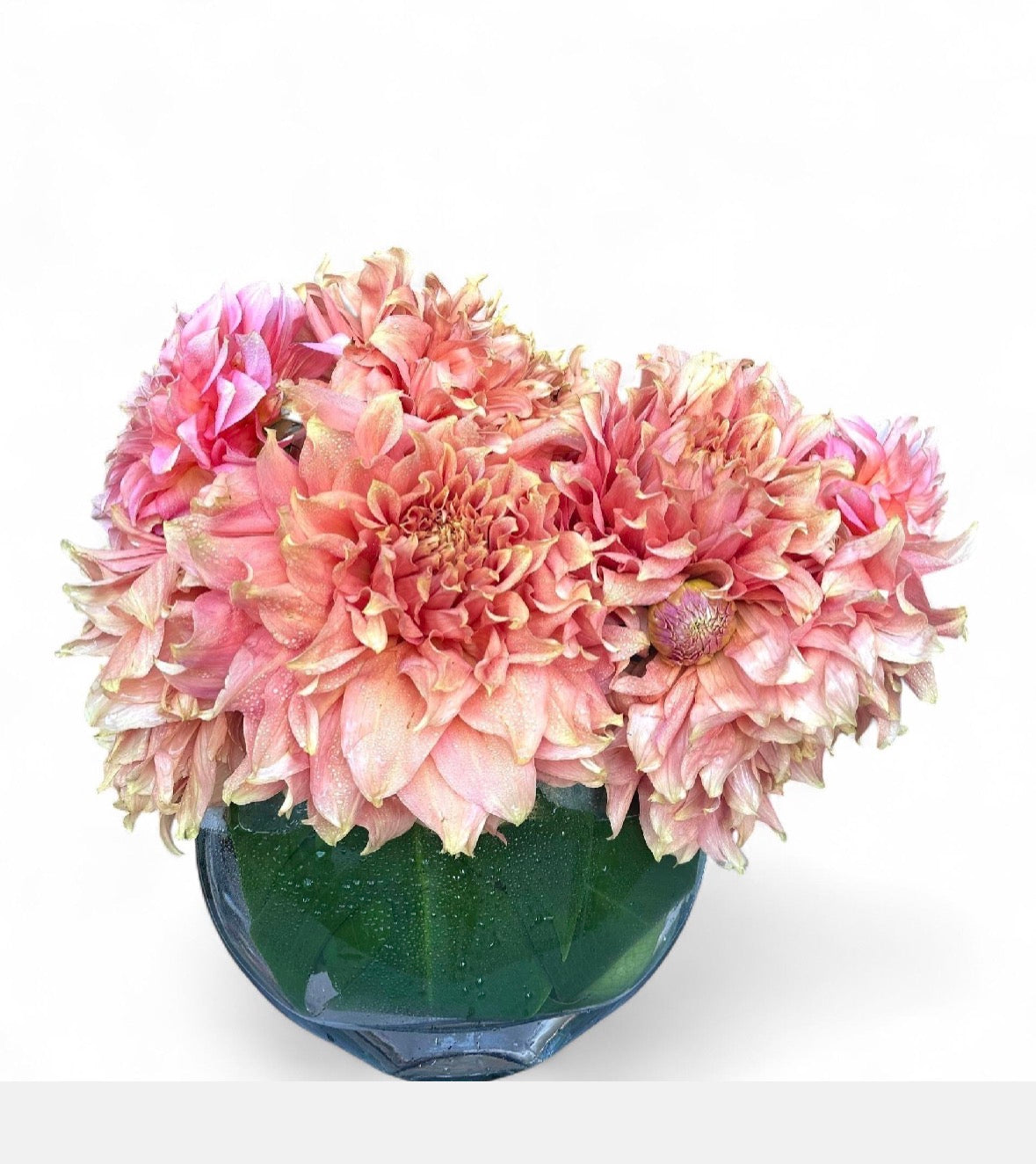 Fresh cut seasonal - Real Flowers Every Day 