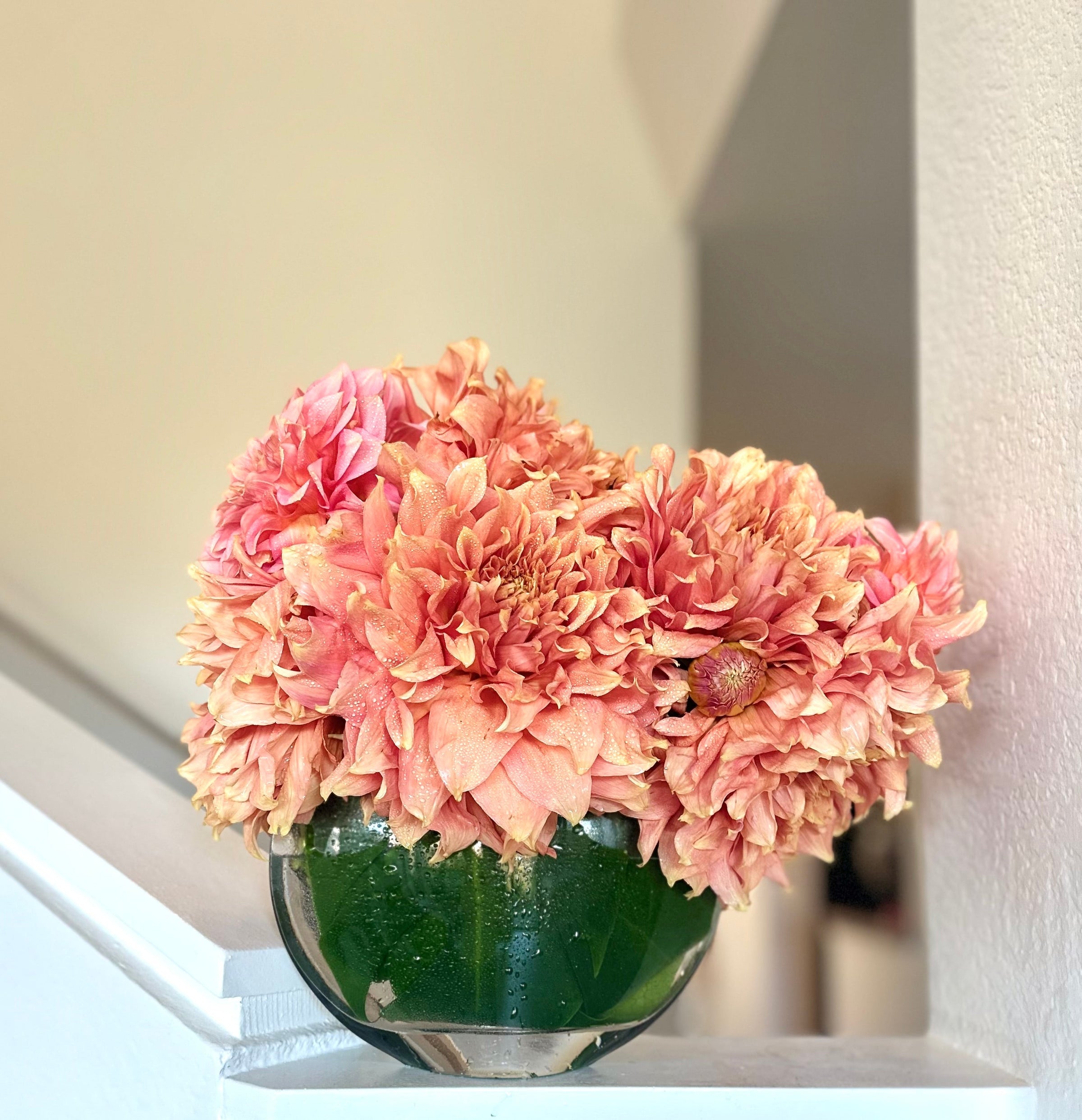 Fresh cut seasonal - Real Flowers Every Day 