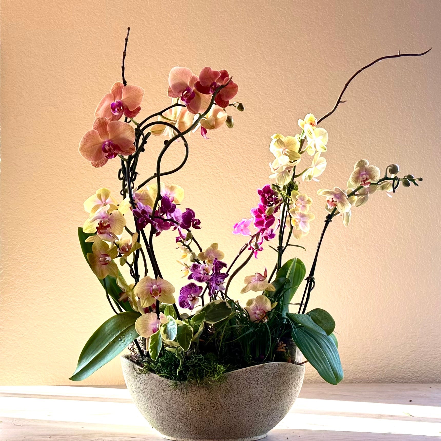 Orchid Gardens - Real Flowers Every Day 