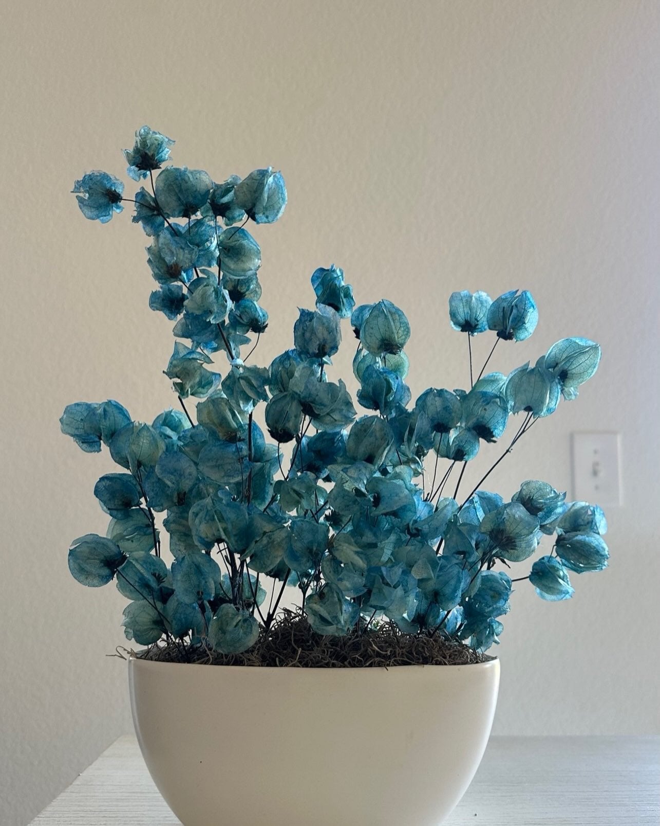 Dried and Preserved Flowers