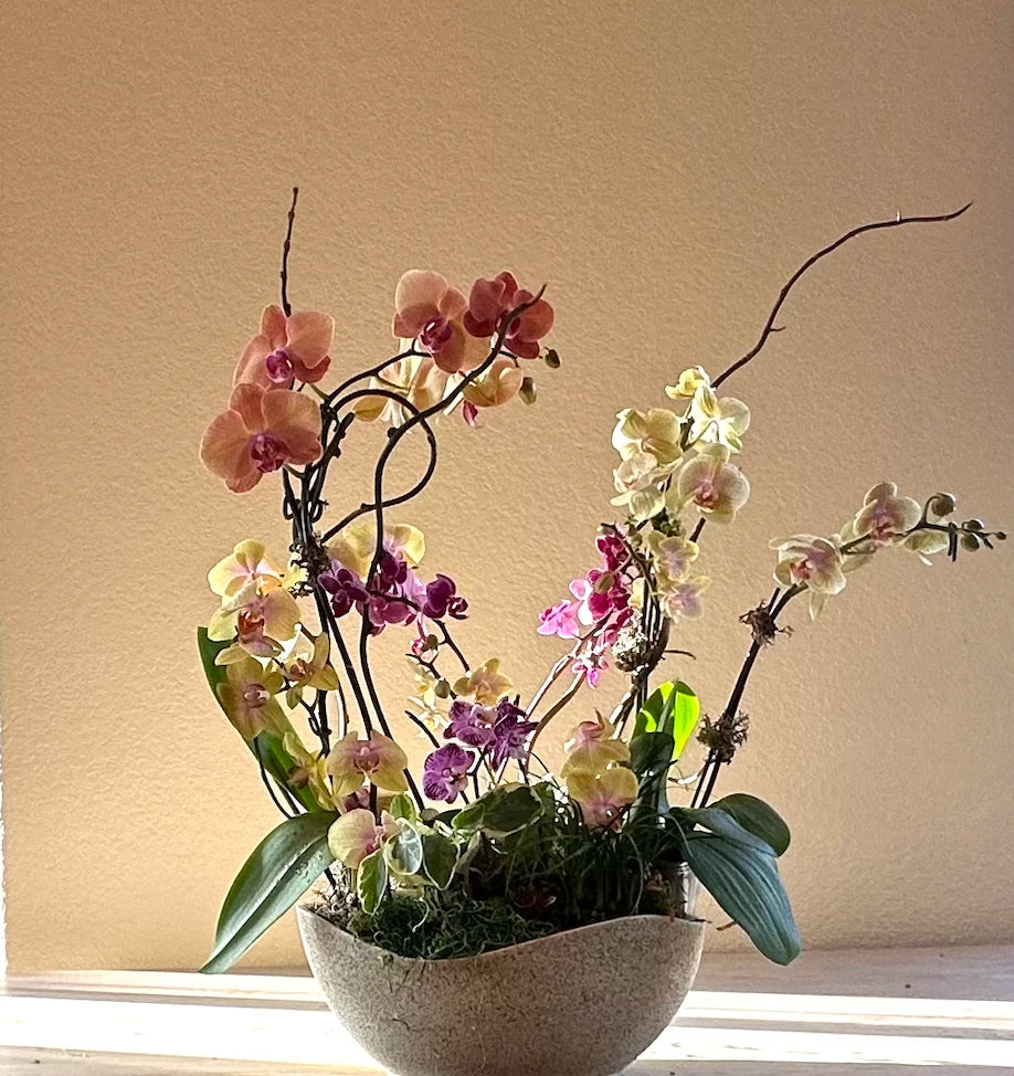 Orchid Gardens - Real Flowers Every Day 