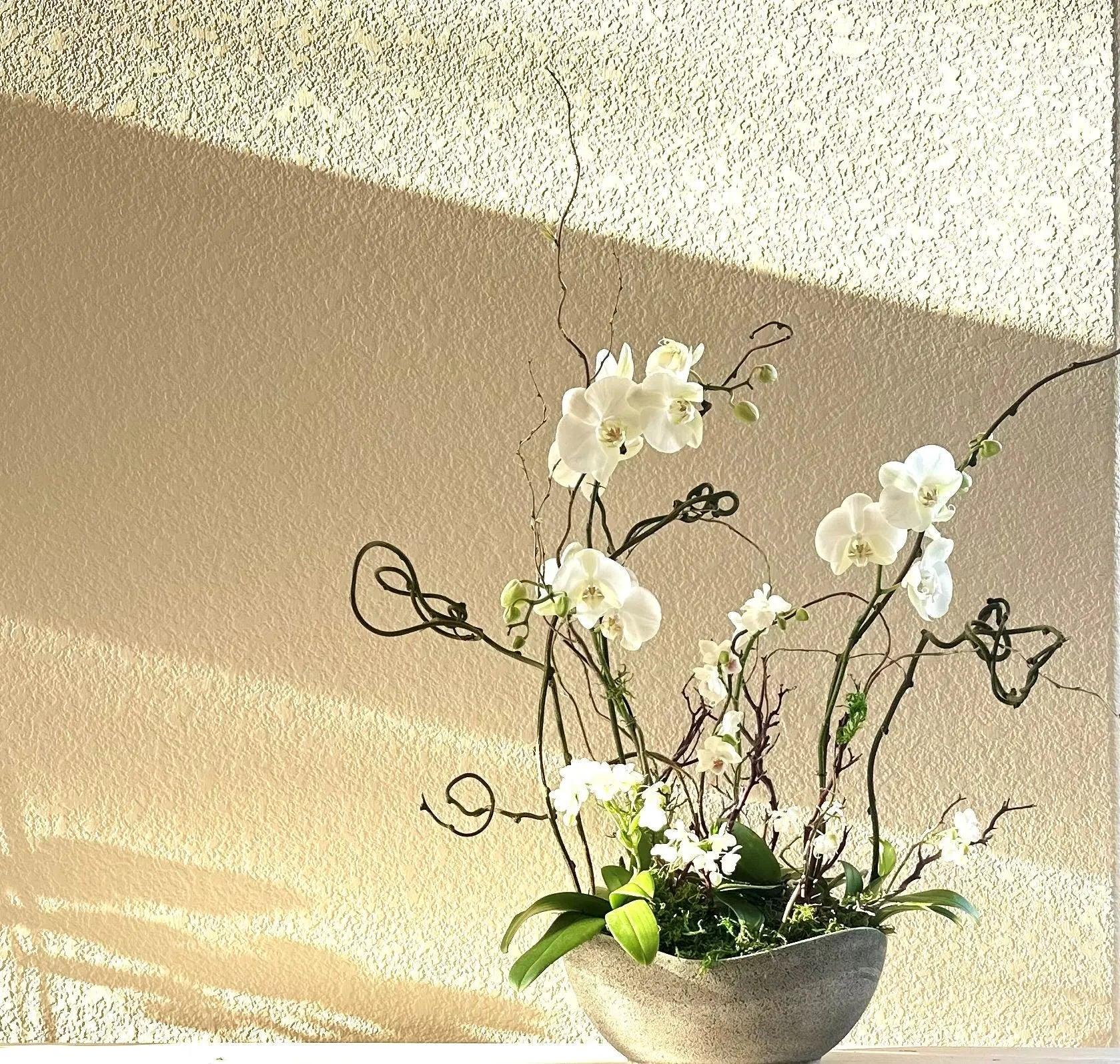 White - Real Flowers Every Day 