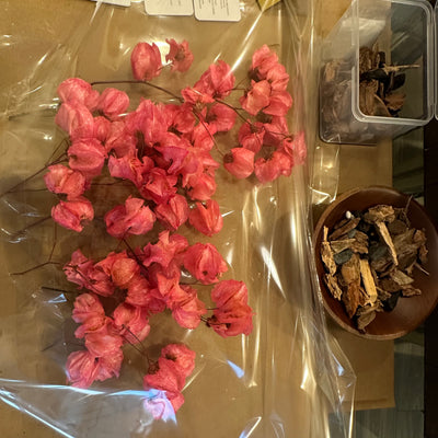 Maiden Lane Dried Flower Arrangement