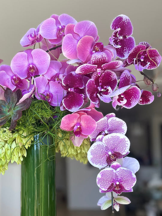 Exquisite Orchids - New!