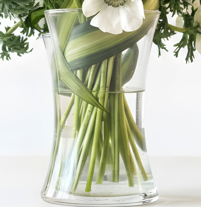 White Panda Anemones