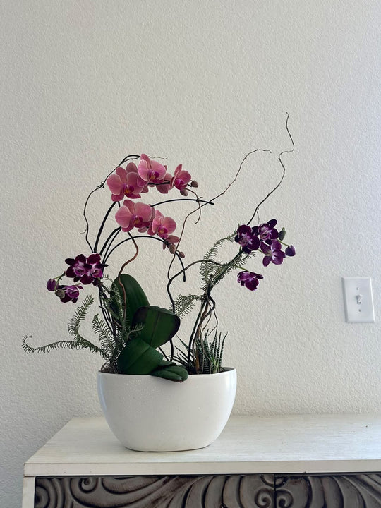Jewel toned Grand Orchid Garden