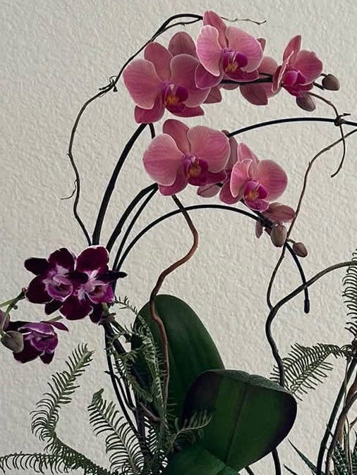 Jewel toned Grand Orchid Garden