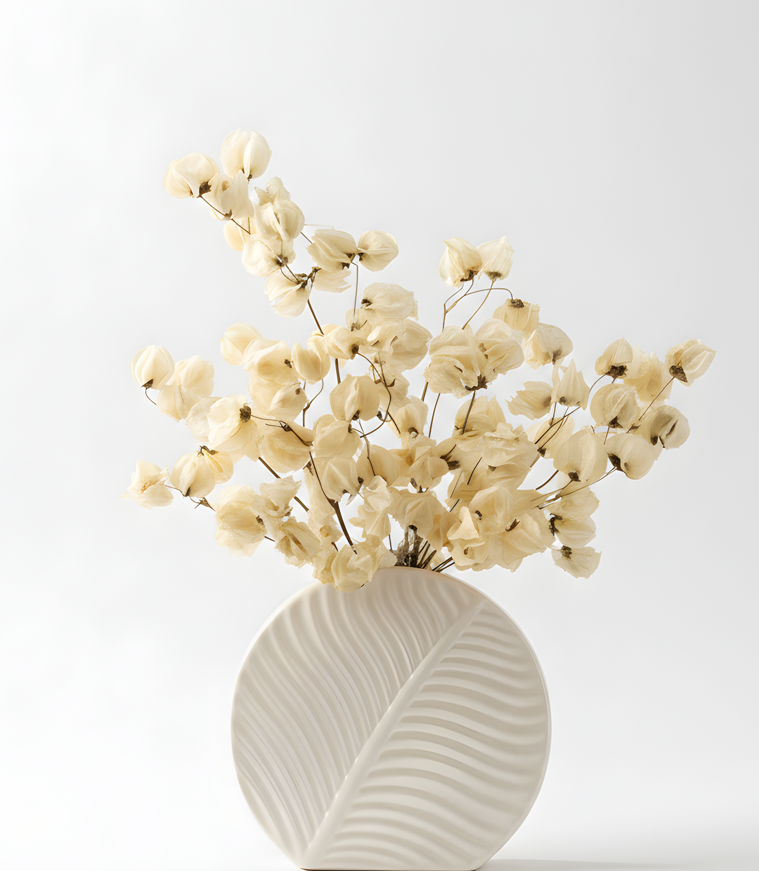 Ivory dried bougainvillea arrangement in ceramic vase