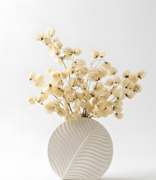 Ivory dried bougainvillea arrangement in ceramic vase