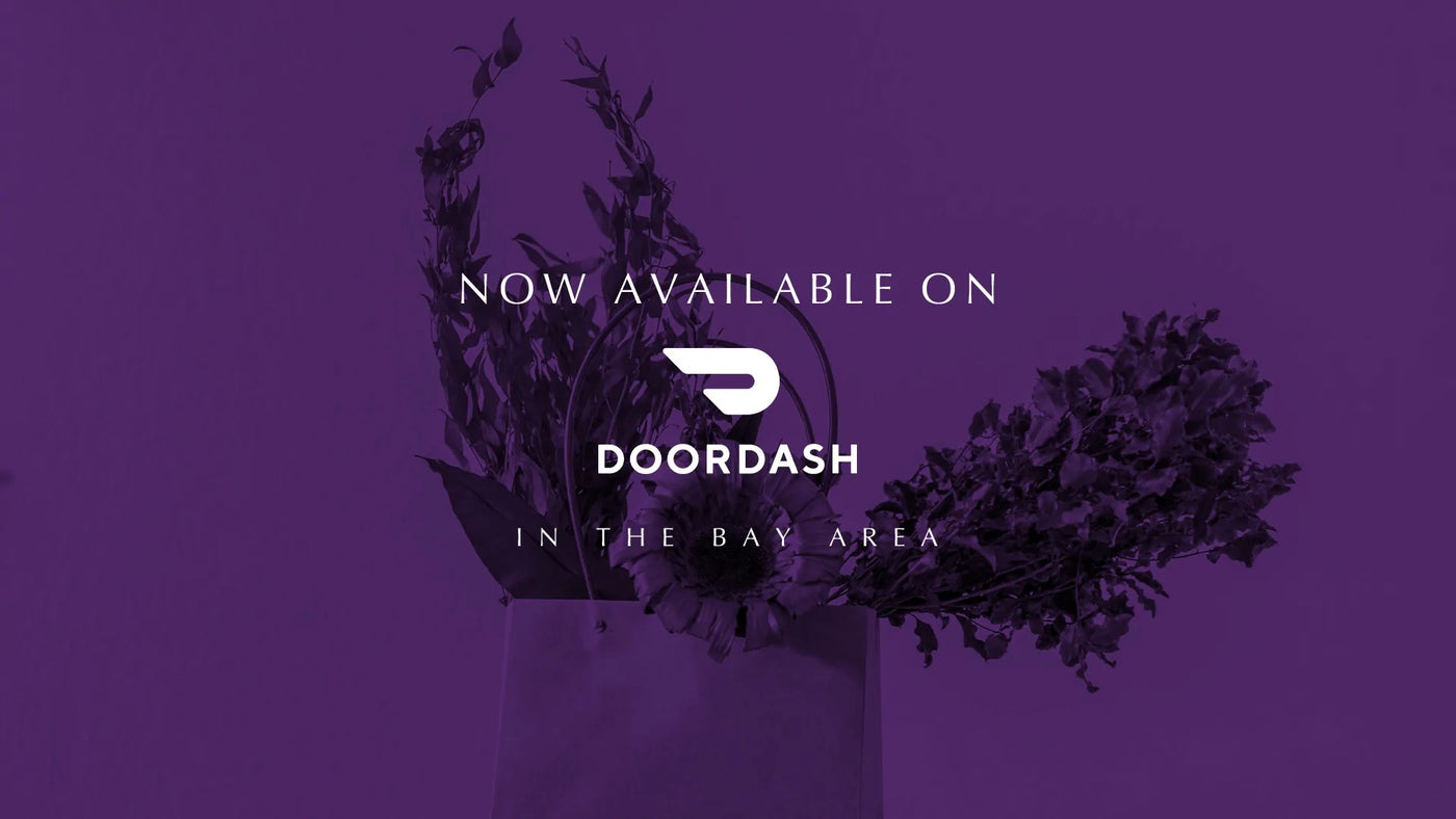 Indoor Oasis | DoorDash Flower Delivery | Home Delivered Indoor Flowers And Plants