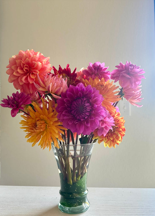 Late Summer Dahlias