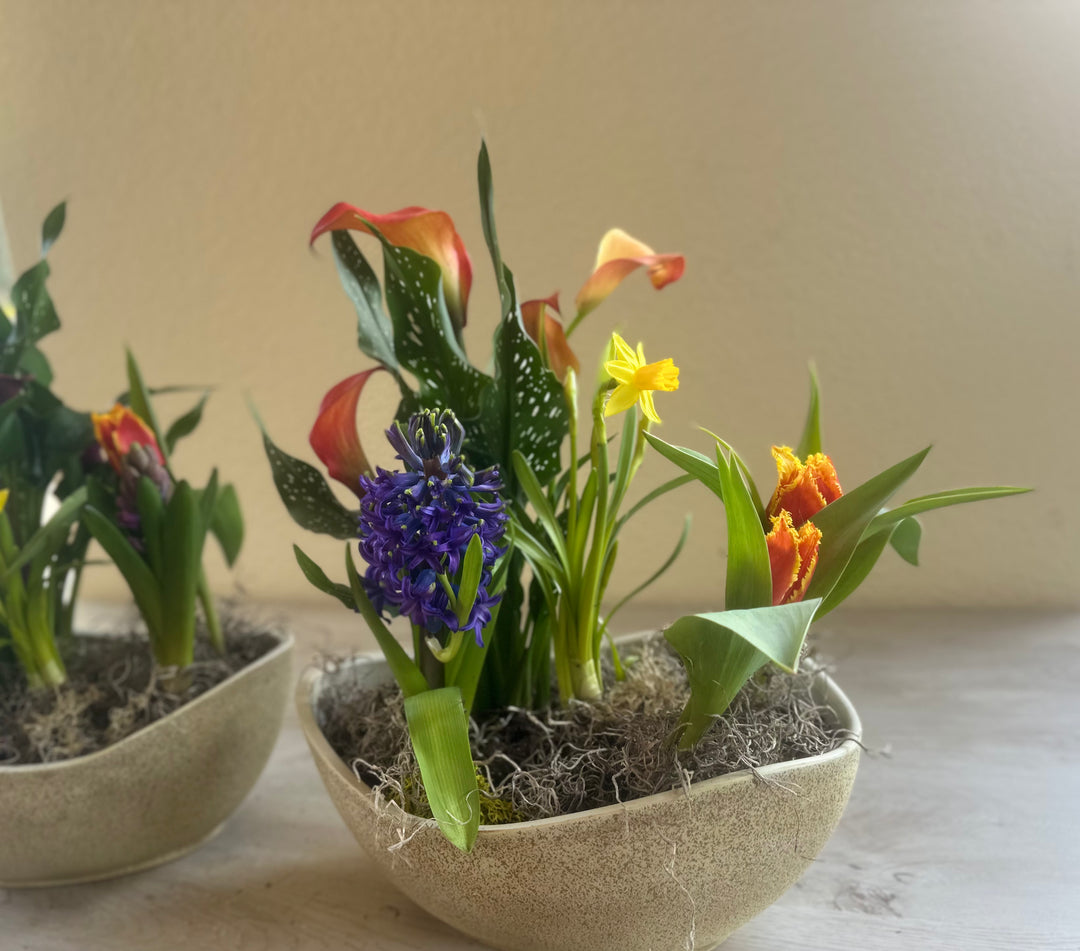 NEW -Spring bulb garden