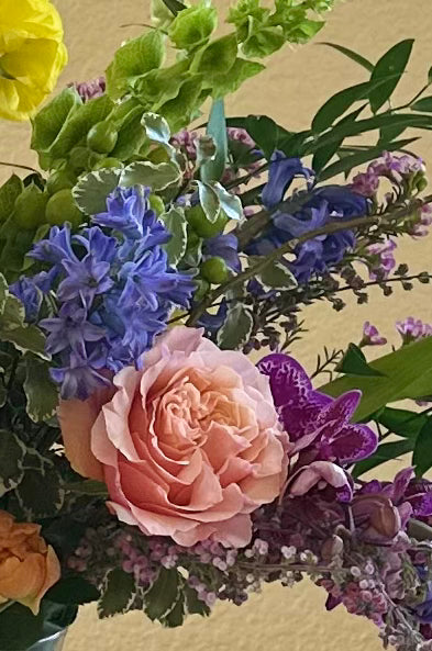 Designers Choice - Exquisite