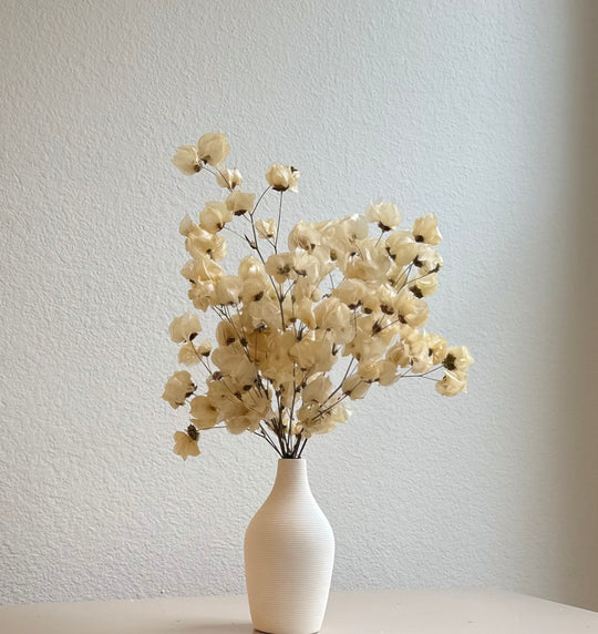 Babylon ivory dried flower arrangement in vase