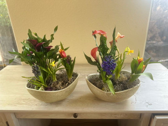 NEW -Spring bulb garden