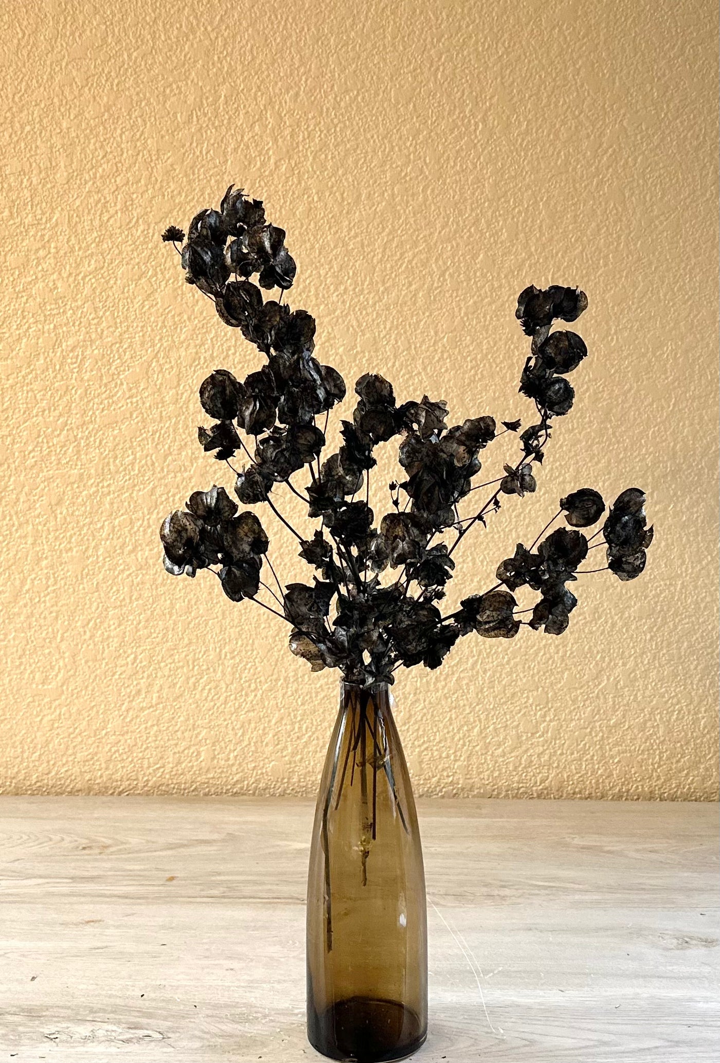 Black onyx dried flower arrangement in amber vase