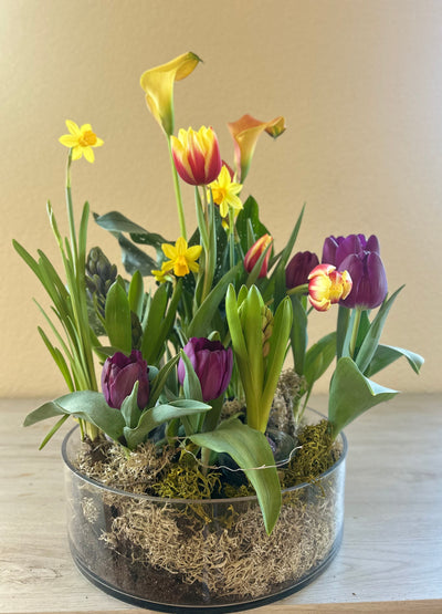 NEW -Spring bulb garden