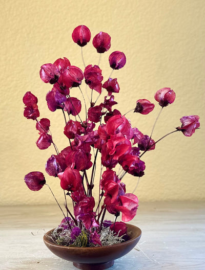 Crimson red dried flower arrangement in wood flower bowl