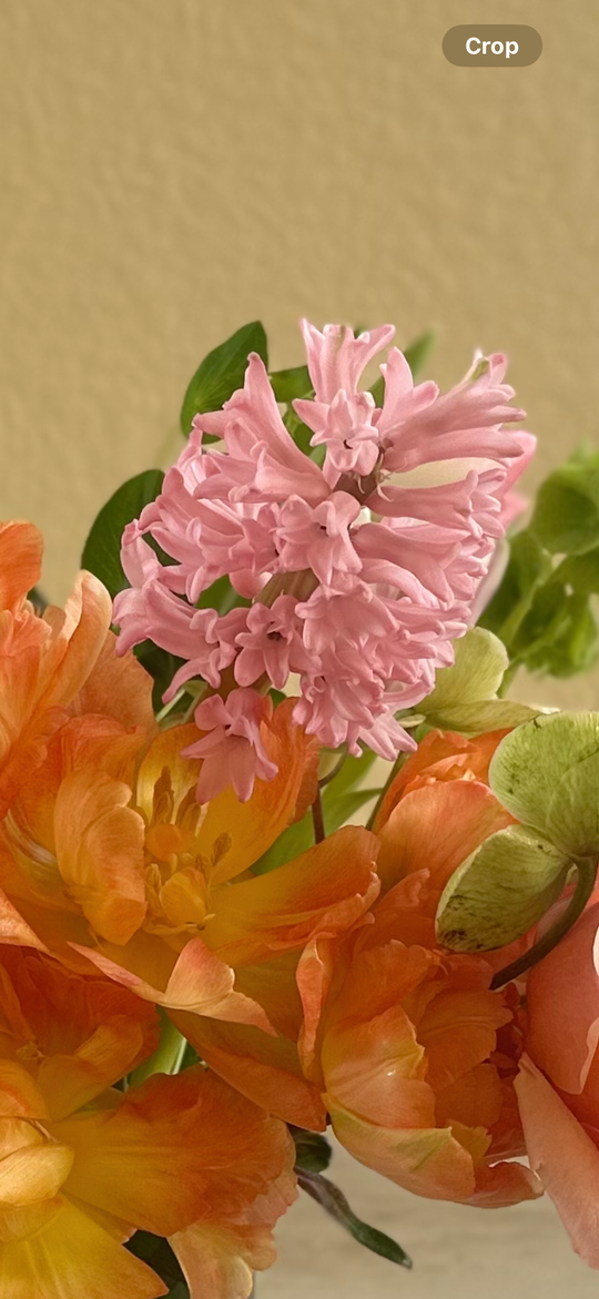 Designers Choice - Exquisite