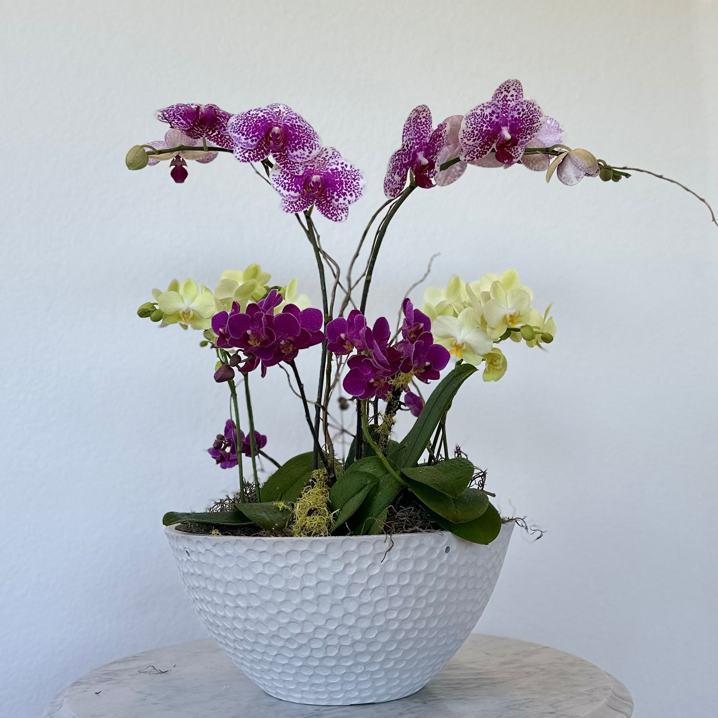 Orchid Garden Grand - Pink
