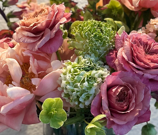 Designers Choice - Exquisite