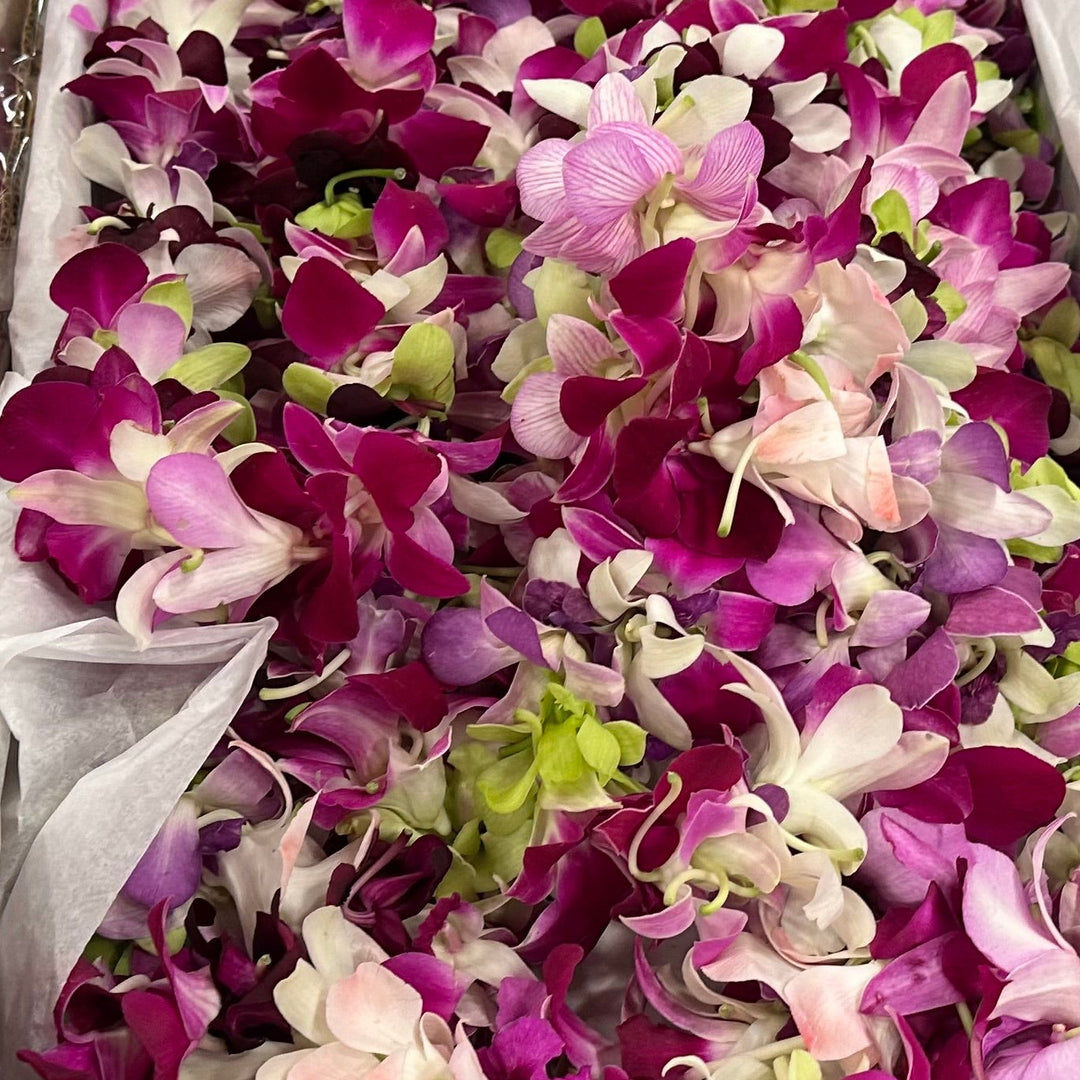 Graduation Leis