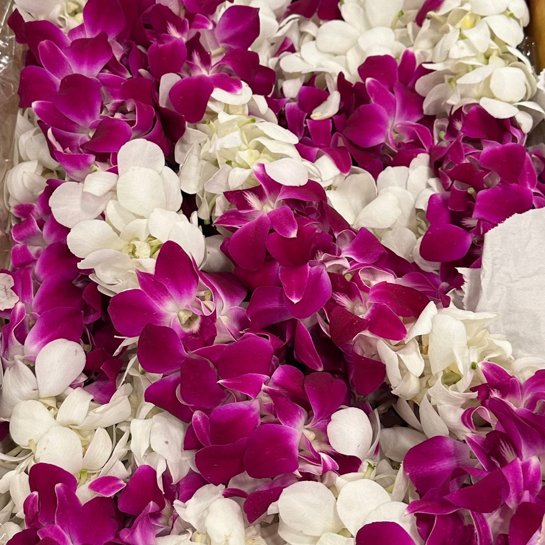 Graduation Leis