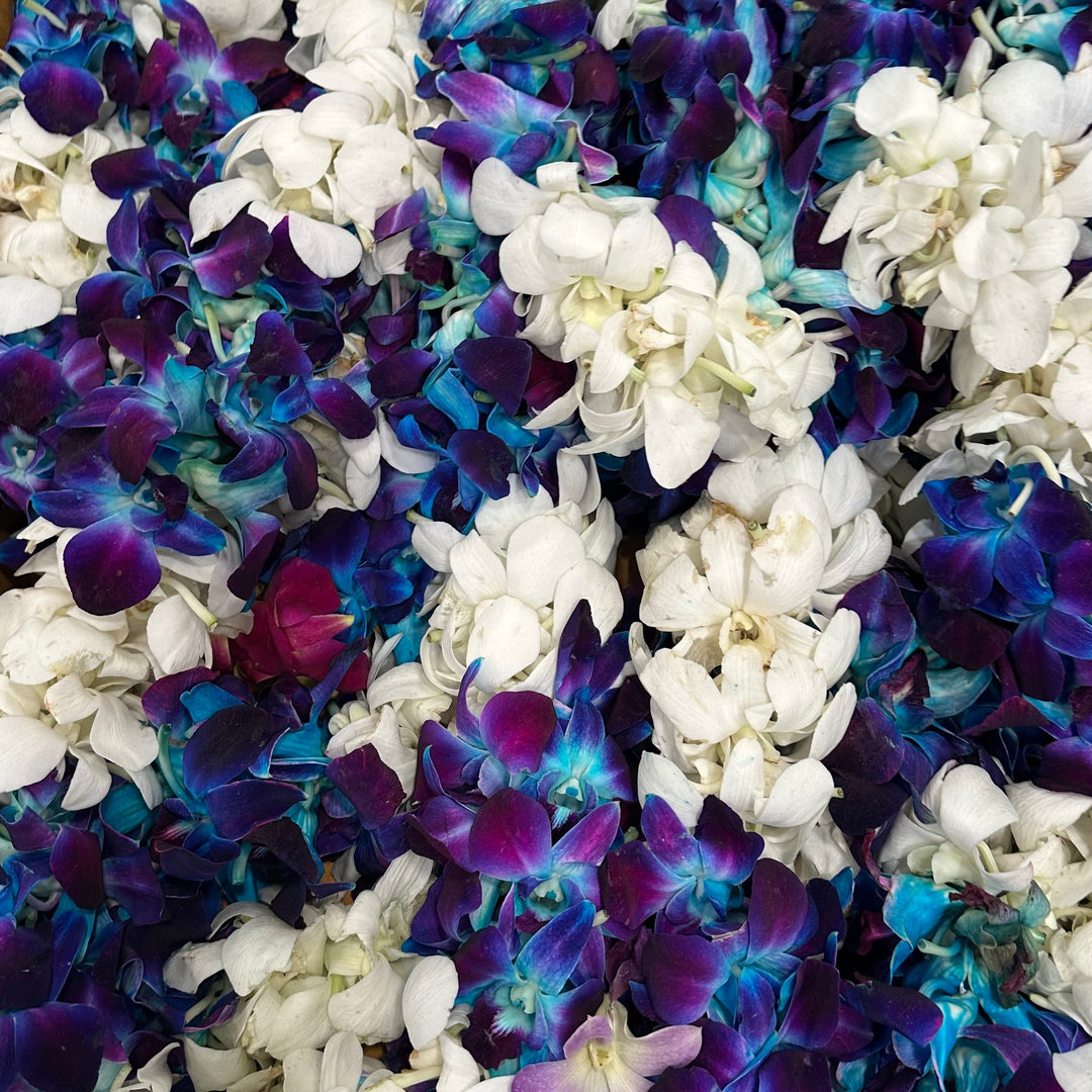 Box filled with blue, purple, and white orchids