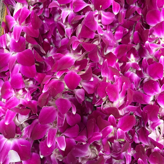 Graduation Leis