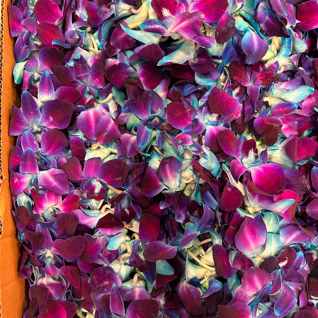 Graduation Leis