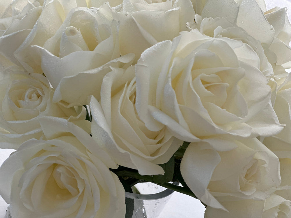 White roses in clear glass - NEW