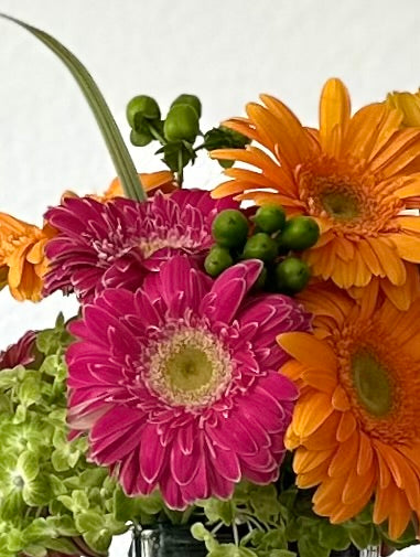 Mixed Gerbera arrangement