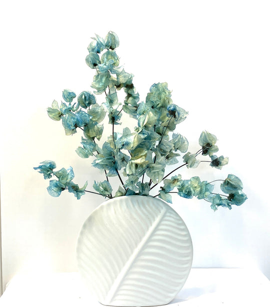Mo'orea Blue Dried Flower Arrangement