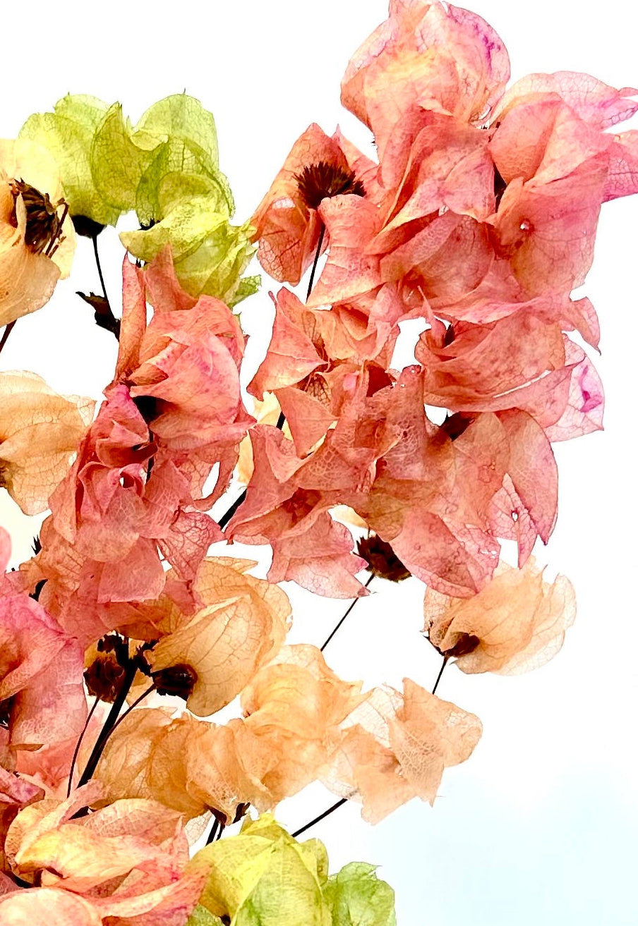 Bougainvillea Arrangement in Mango wood Bowl