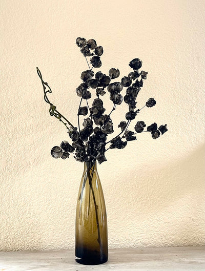 Black onyx dried flower arrangement in amber vase