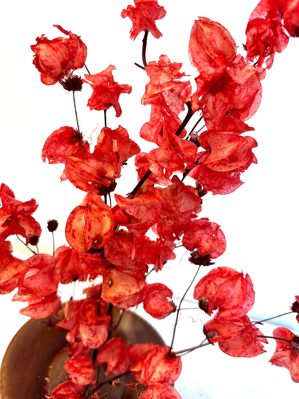 Red dried flower arrangement in wood bowl
