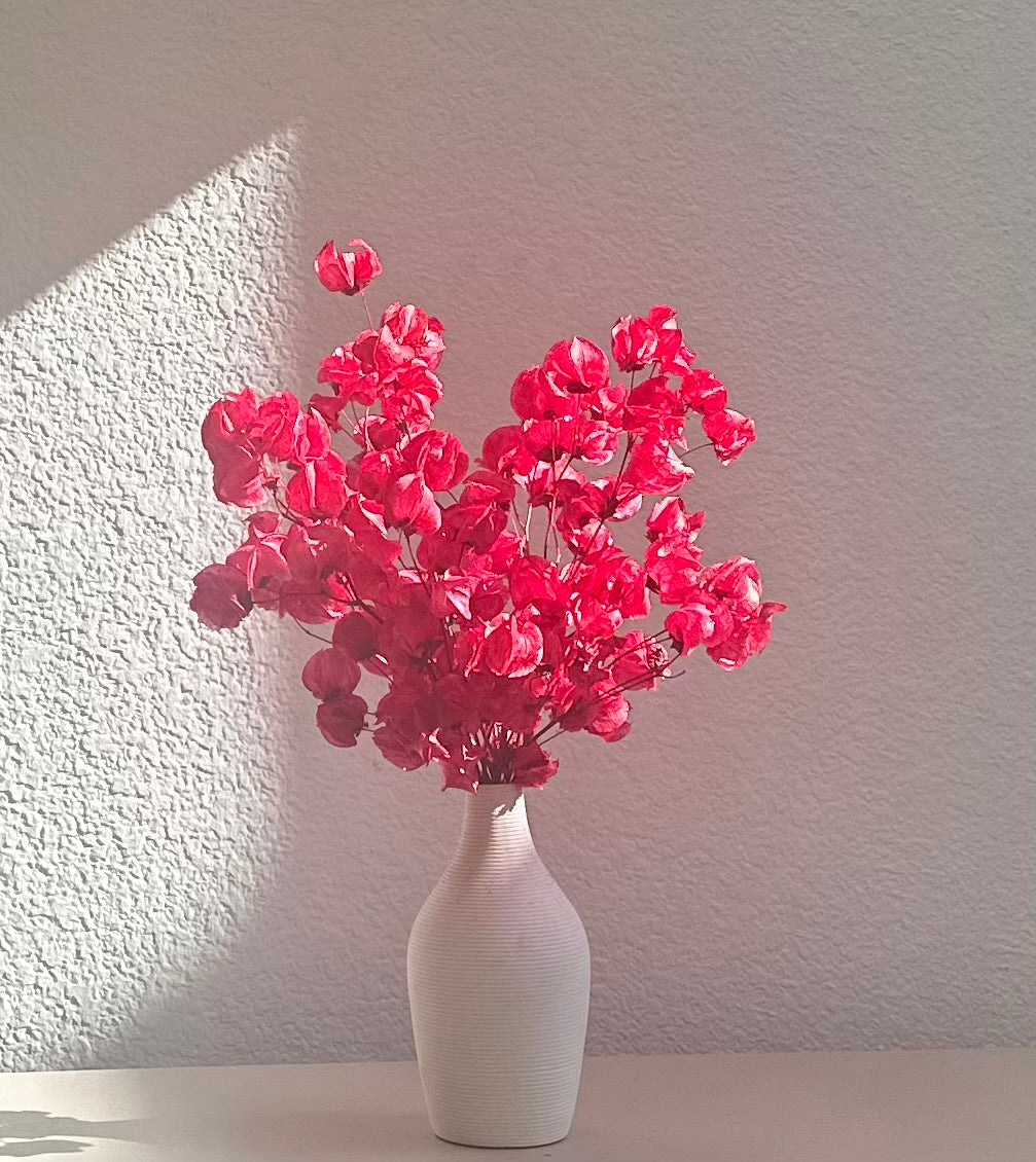 Red Bougainvillea Modern Dried Floral Arrangement
