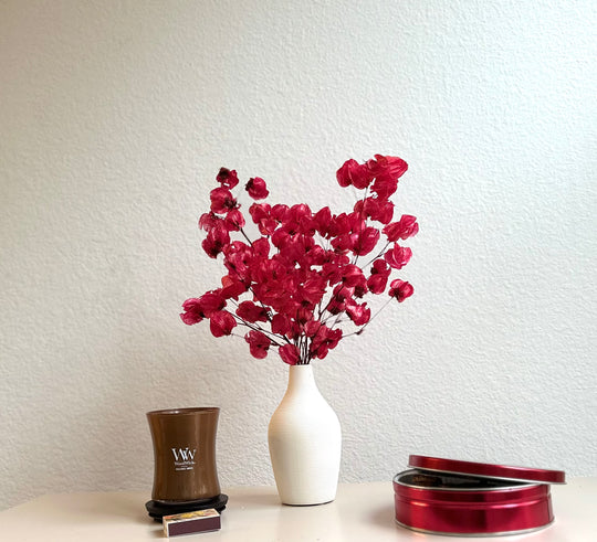 Red Bougainvillea Modern Dried Floral Arrangement