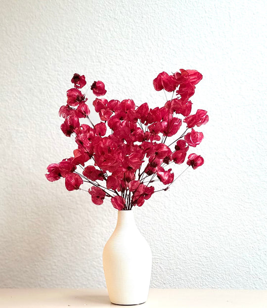 Red Bougainvillea Modern Dried Floral Arrangement