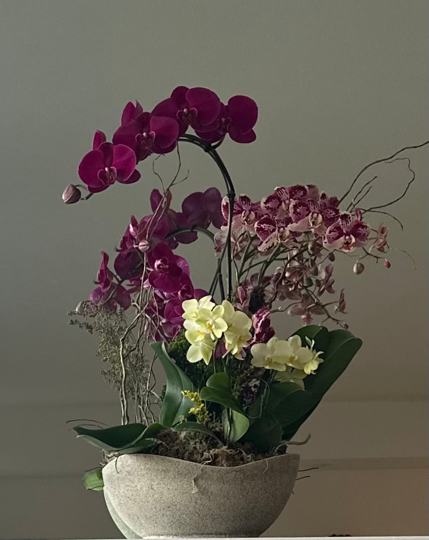 Orchid Garden Grand - Pink