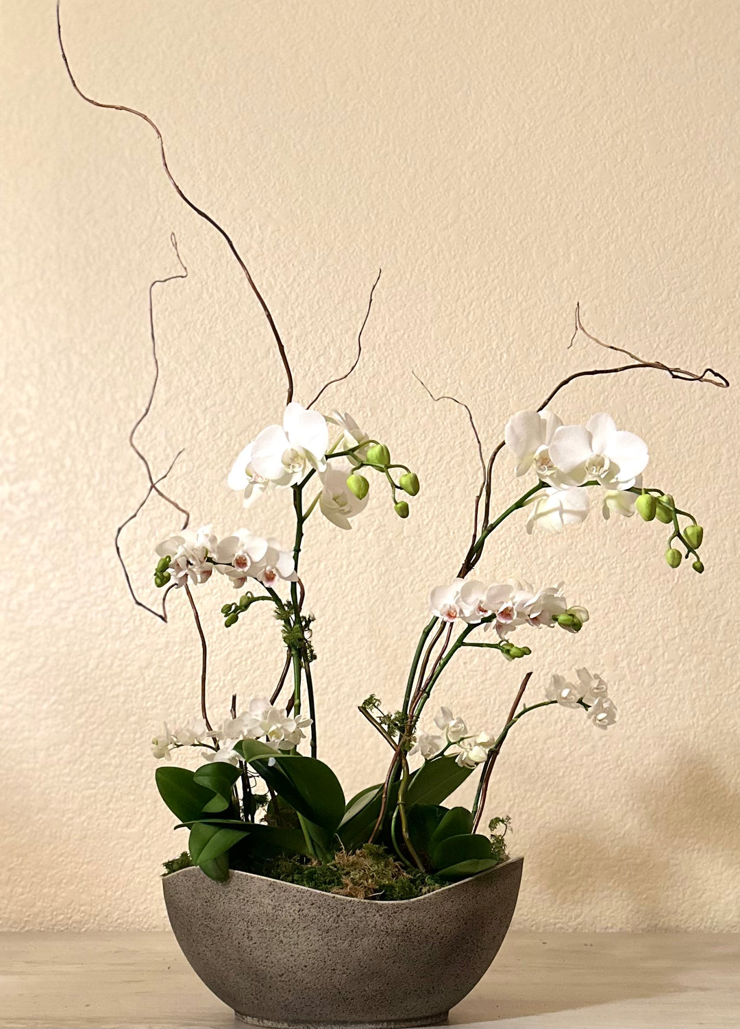 White Grand Orchid Garden