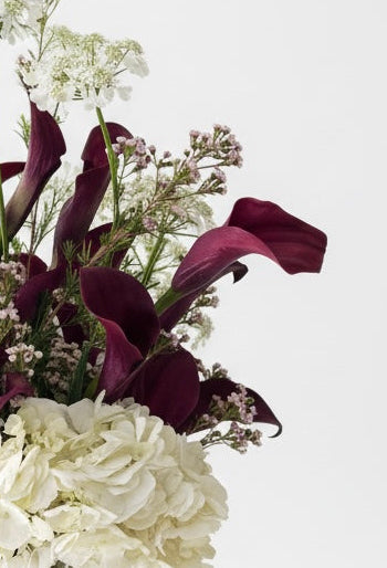 Cala lilies in burgundy