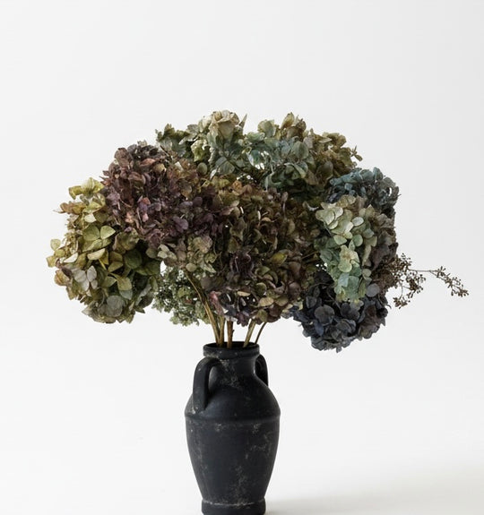 Hydrangea Renata Antique Blue/Purple - Dried