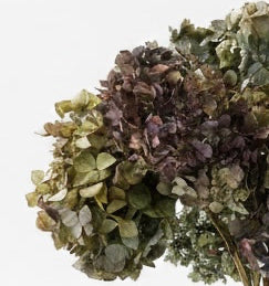 Hydrangea Renata Antique Blue/Purple - Dried