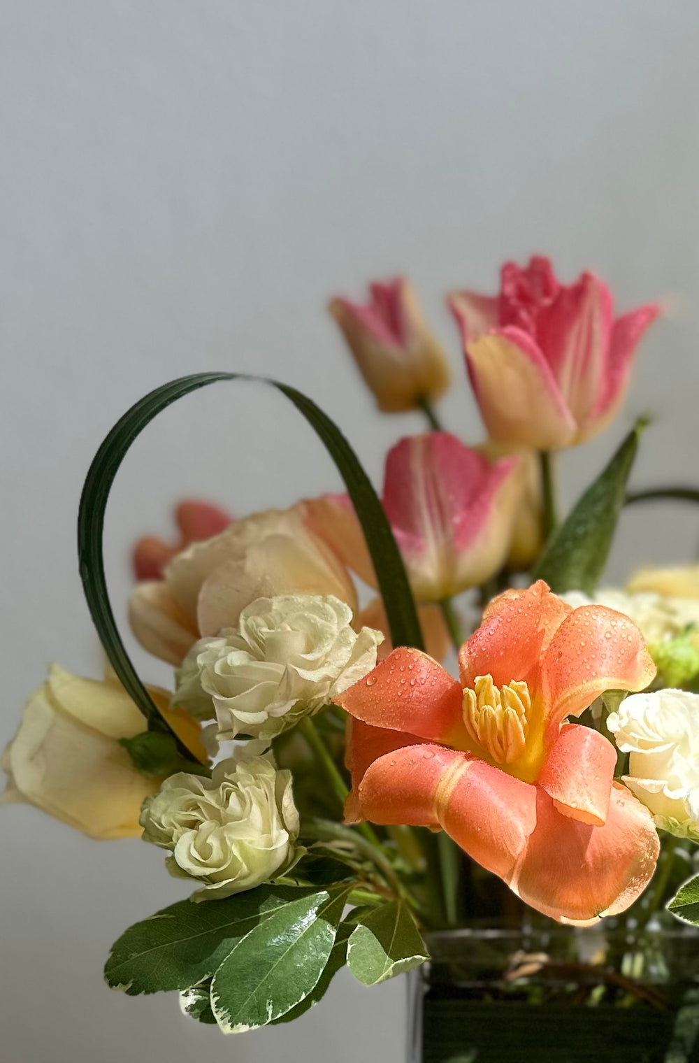 Garden roses and tulips- Allergen Free