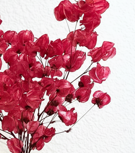 Red dried flower arrangement in vase