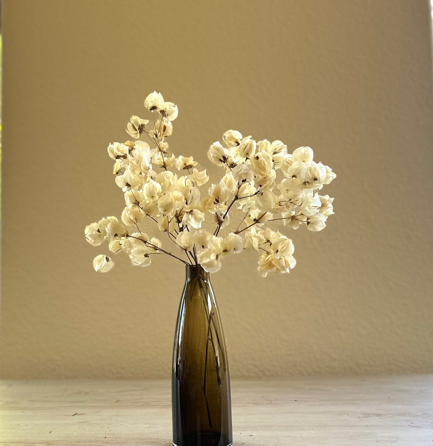 Babylon Ivory arrangement in amber vase