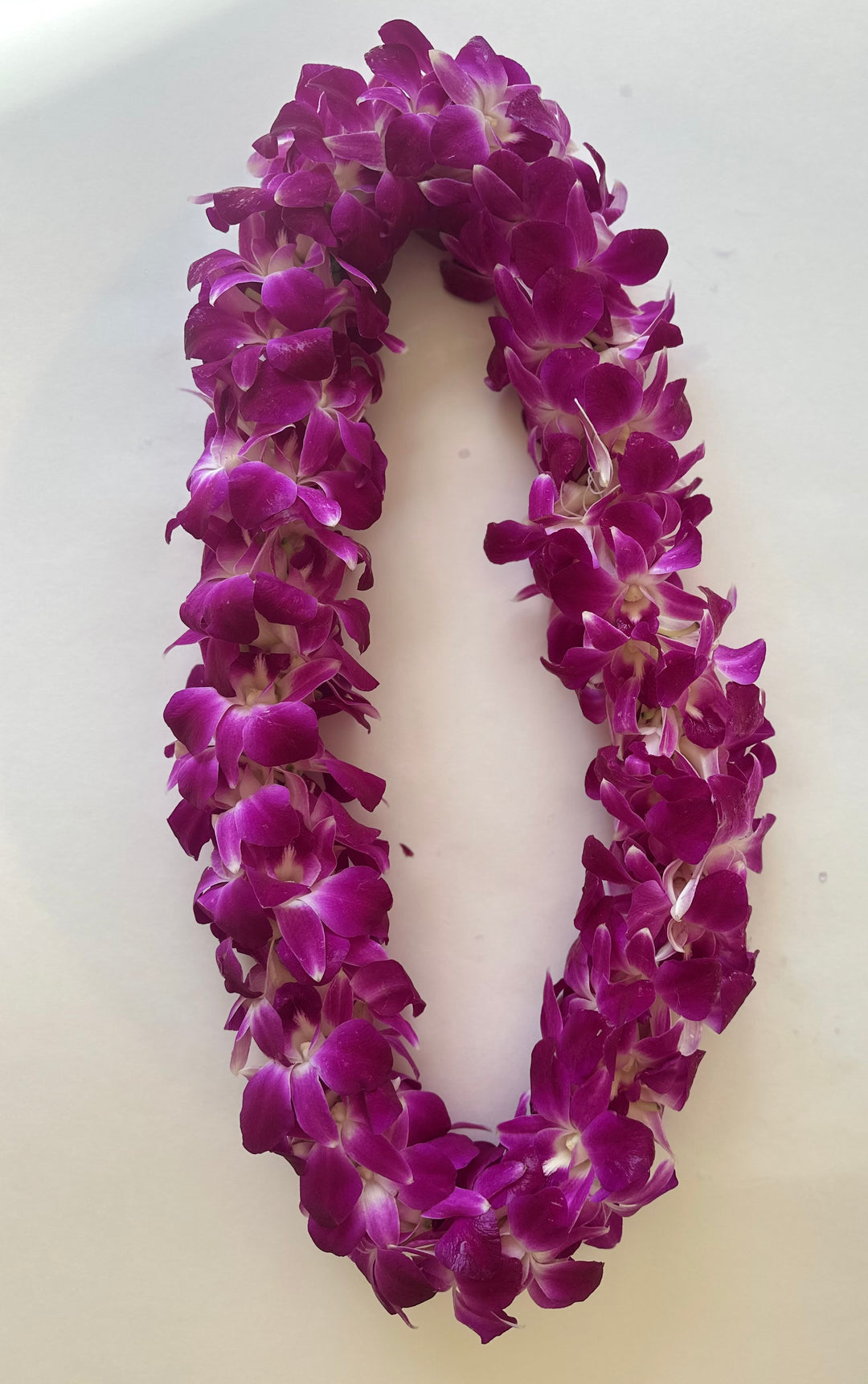 Graduation Leis